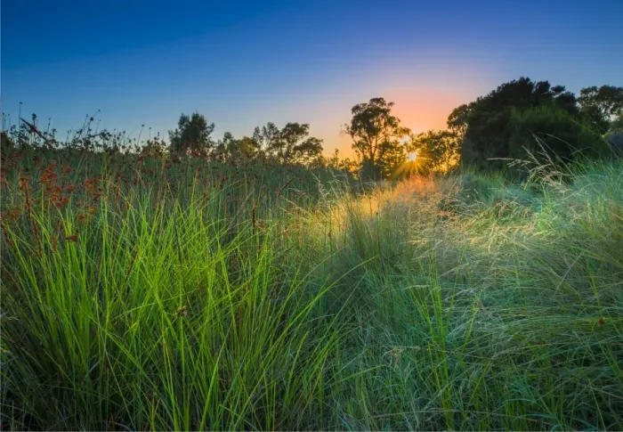 Framed Print : The lovely wetlands at Hidden Grove, Keysborough South, Melbourne, Victoria, Australia