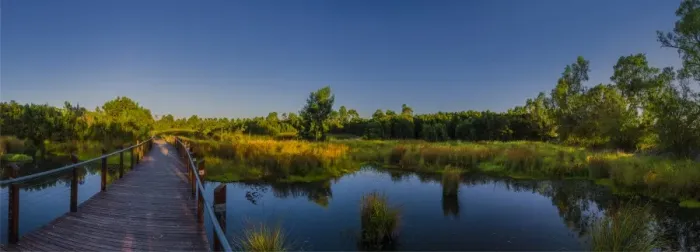 Framed Print : The lovely wetlands at Hidden Grove, Keysborough South, Melbourne, Victoria, Australia