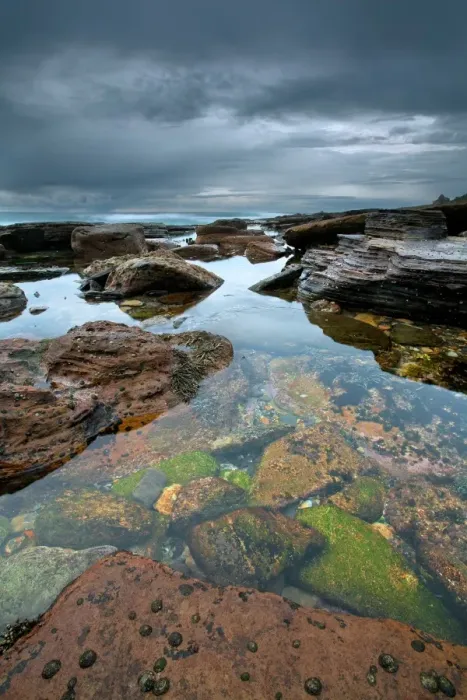 Framed Print : Low tide, Avalon Beach, Sydney