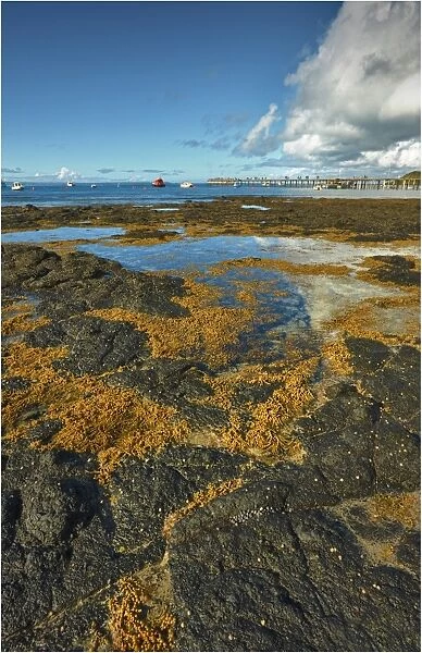 Low tide at Flinders, Western port bay, Victoria, Australia