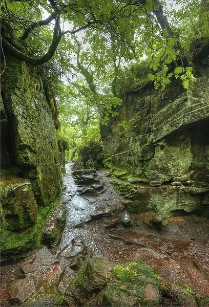 Luds Church, a natural rock cleft used in times past for secret religious services in the Peak district national park, Staffordshire, England, United kingdom