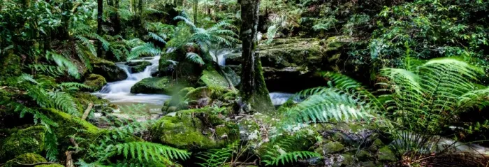 Framed Print : Lush environs Framed Print : Lush environs