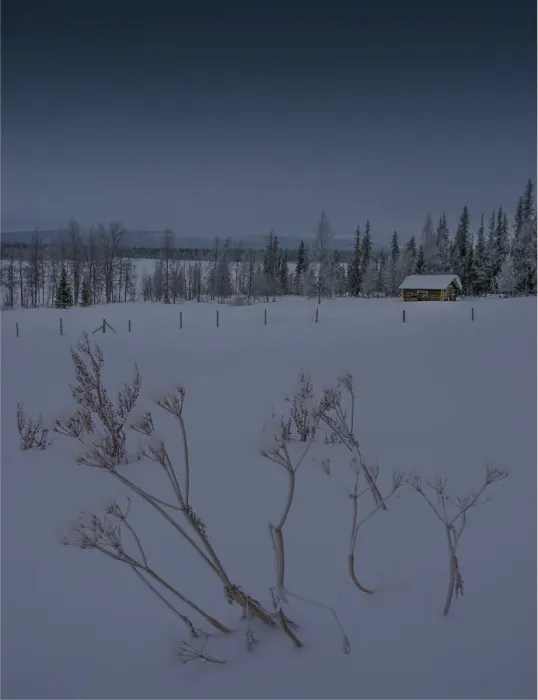 Framed Print : Lusperbryggan in winter, Lapland, Sweden