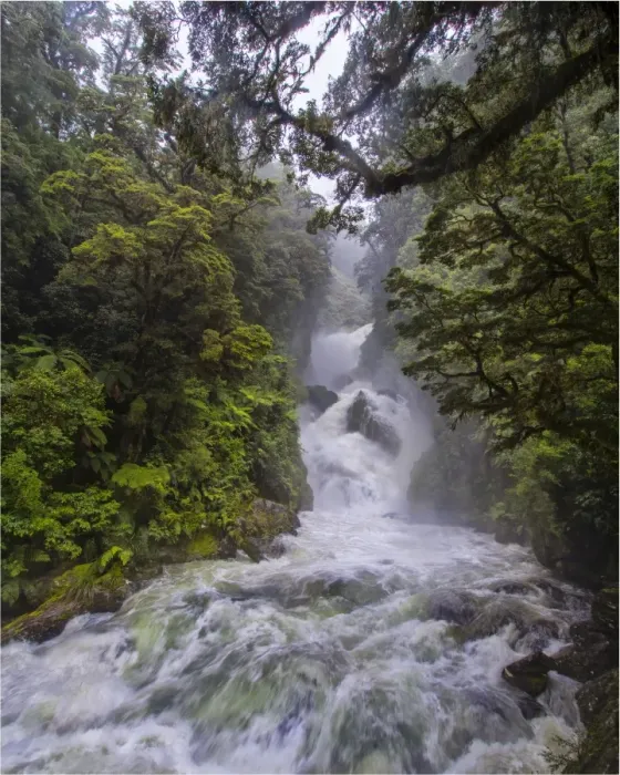 Framed Print : Mackay falls after a sudden downpour on the Milford track, Fiordland national park, south island, New Zealand Framed Print : Mackay falls after a sudden downpour on the Milford track, Fiordland national park, south island, New Zealand
