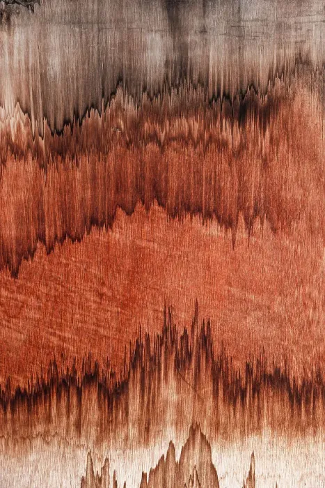 Framed Print : Macro shot showing stained wood, Wyndham, Western Australia, Australia Framed Print : Macro shot showing stained wood, Wyndham, Western Australia, Australia