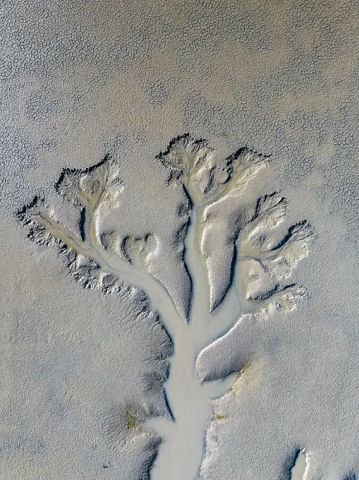 Framed Print : Majestic patterns in an estuary photographed from a drone point of view, Derby, Western Australia, Australia Framed Print : Majestic patterns in an estuary photographed from a drone point of view, Derby, Western Australia, Australia