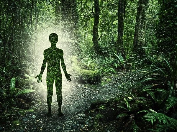 Male figure in forest