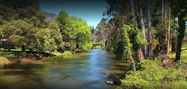 Mansfield area, Jamieson River, central Victoria, Australia