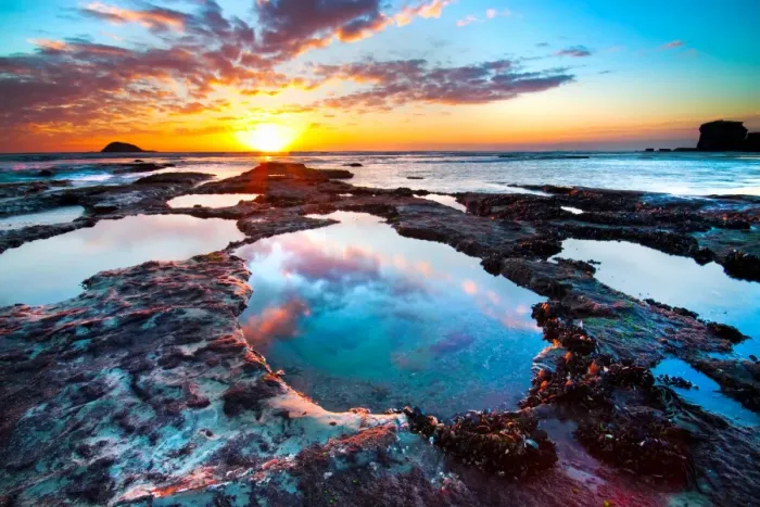 Framed Print : Maori Bay. Pools at Maori Bay, Auckland, New Zealand