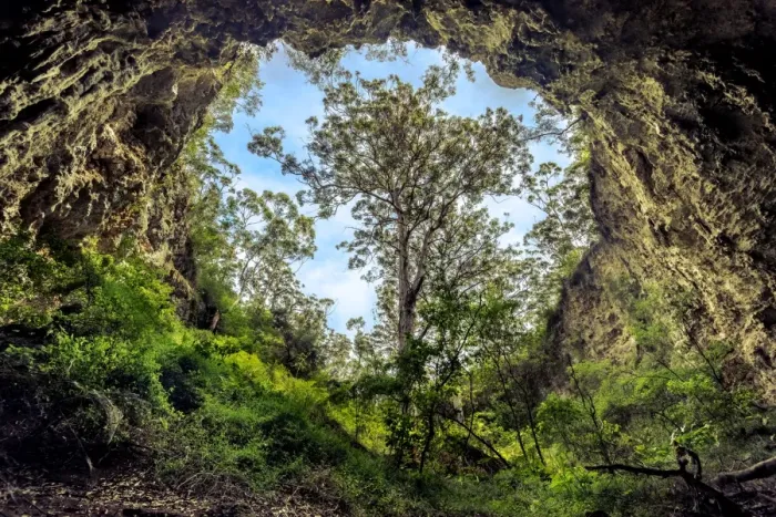 Framed Print : Margaret River Cave