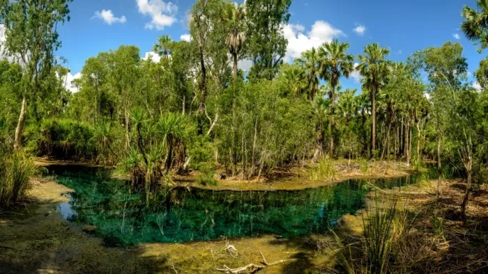 Framed Print : Mataranka Thermal Pool