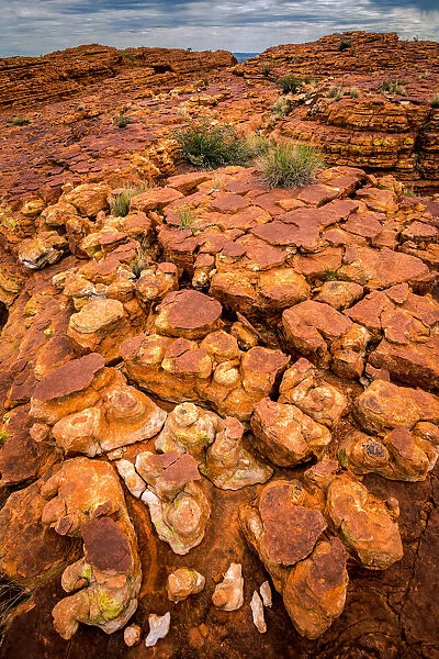 Maze of weathered sandstone domes at Watarrka National Park
