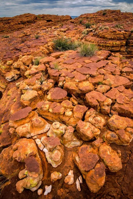 Framed Print : Maze of weathered sandstone domes at Watarrka National Park