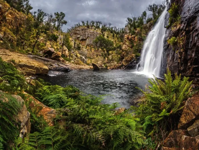 Framed Print : Mckenzie Falls Framed Print : Mckenzie Falls