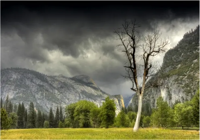 Framed Print : The meadow at Yosemite national park, California, USA