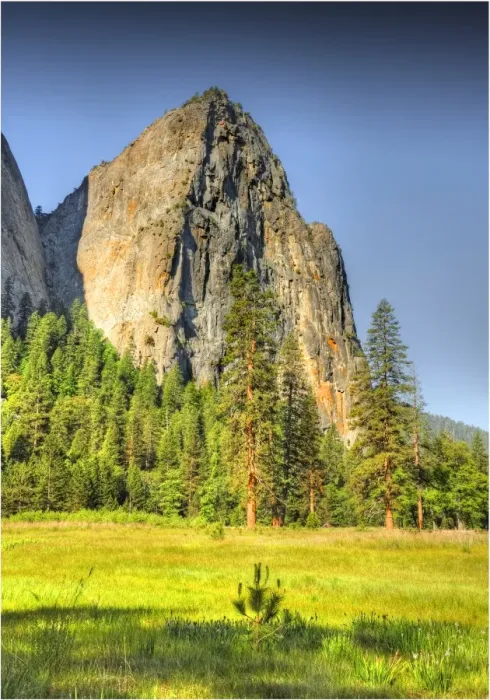 Framed Print : The meadow at Yosemite national park, California, USA