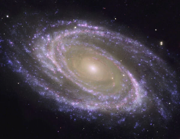Messier 81 spiral galaxy