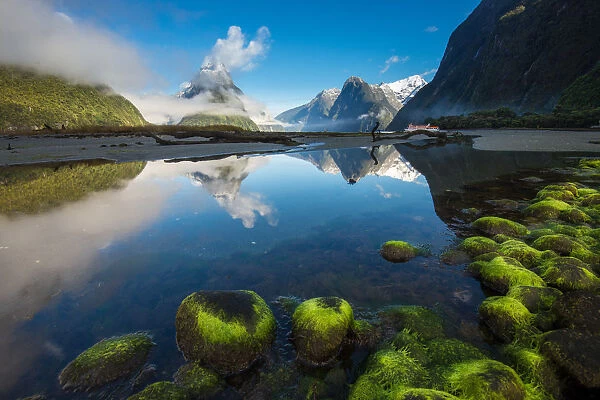 Milford sound and its reflection morning light