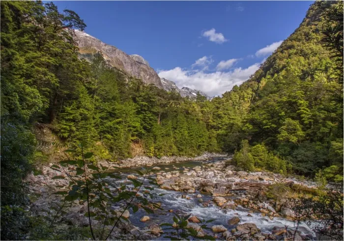 Framed Print : The Milford Track and Clinton River Valley in the South Island of New Zealand Framed Print : The Milford Track and Clinton River Valley in the South Island of New Zealand