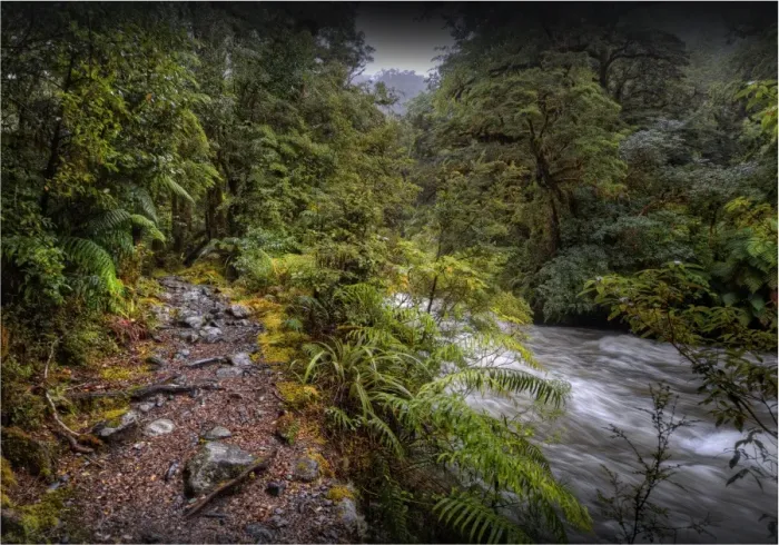 Framed Print : The Milford track, South Island, New Zealand Framed Print : The Milford track, South Island, New Zealand