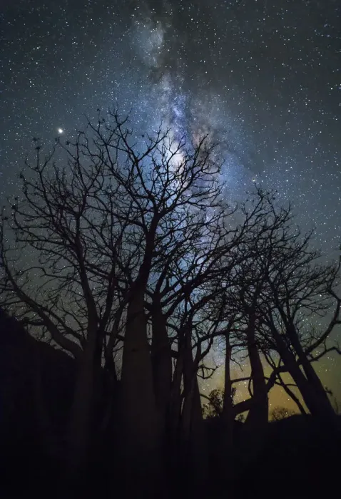 Framed Print : Milky way over boab tree