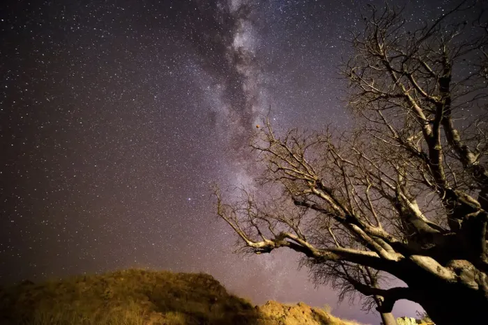 Framed Print : Milky way over boab tree Framed Print : Milky way over boab tree