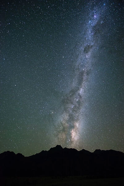 Milky Way behind tree, South Island, New Zealand