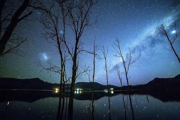 Milky Way and Venus above lake and trees at night