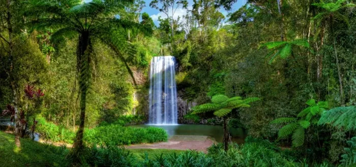 Framed Print : Millaa Millaa Falls, Atherton Tableland, Far North Queensland, Australia Framed Print : Millaa Millaa Falls, Atherton Tableland, Far North Queensland, Australia