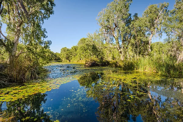 Millstream Chichester National Park, Western Australia, Australia