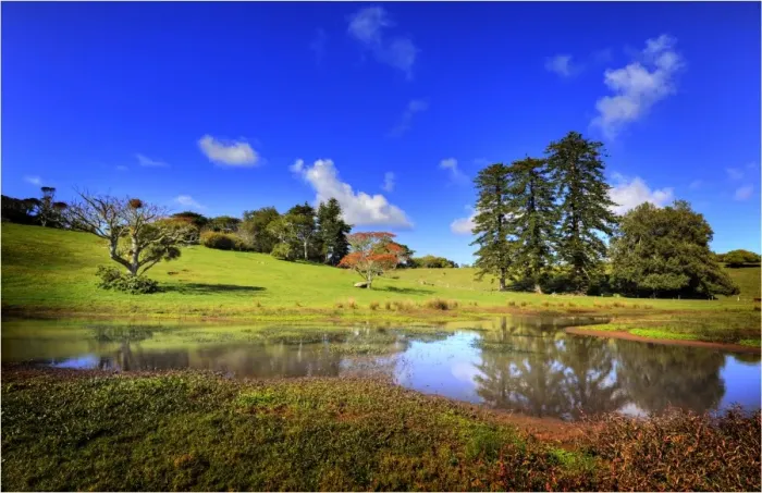 Framed Print : Mission valley scene, Norfolk Island Framed Print : Mission valley scene, Norfolk Island