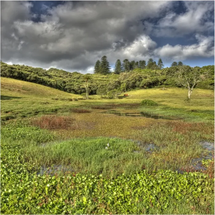 Framed Print : The mission valley and view across the wetlands, Norfolk Island