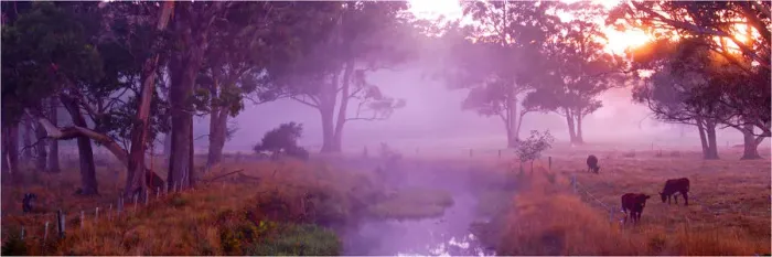 Framed Print : Mist at Dawn near Sheffield, central Tasmania Framed Print : Mist at Dawn near Sheffield, central Tasmania