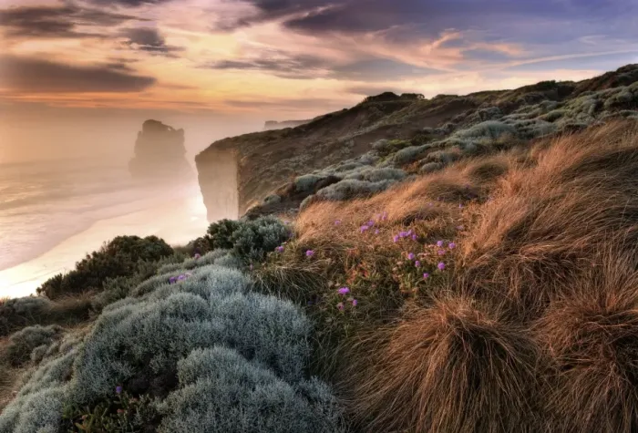 Framed Print : Misty Beach