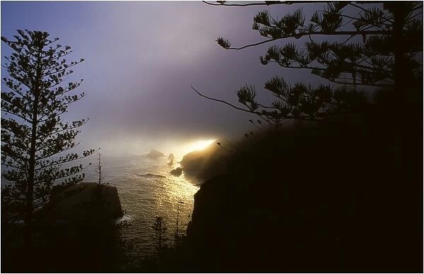 Misty coastline on Norfolk Island