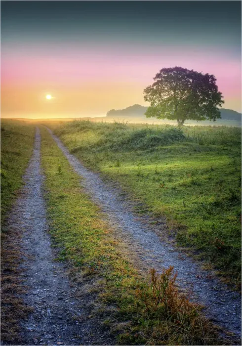 Framed Print : Misty dawn at Bradbury rings, Dorset, England