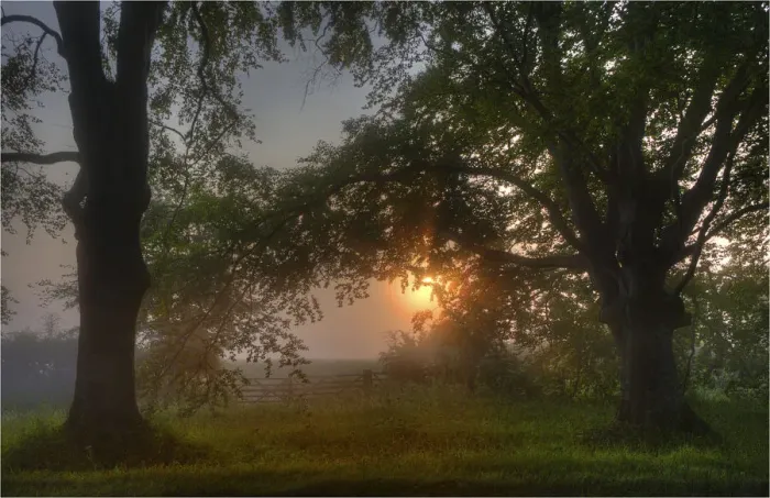 Framed Print : Misty dawn at Bradbury rings, Dorset, England