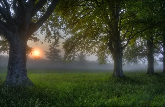 Framed Print : Misty dawn at Bradbury rings, Dorset, England