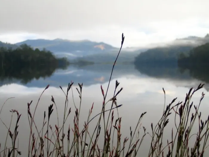 Framed Print : Misty Morning at Lake Tullah Framed Print : Misty Morning at Lake Tullah