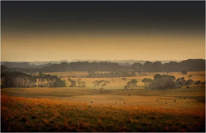 Framed Print : Misty morning near Gentle Annie, a rural location and the highest point on King Island, Bass Strait, Tasmania, Australia Framed Print : Misty morning near Gentle Annie, a rural location and the highest point on King Island, Bass Strait, Tasmania, Australia