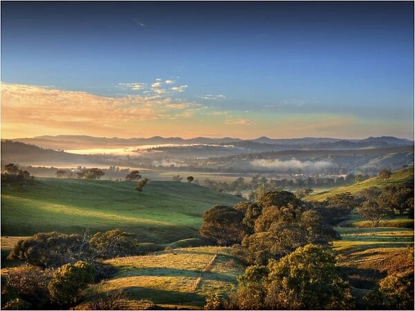Misty morning near Jugiong, New South Wales, Australia