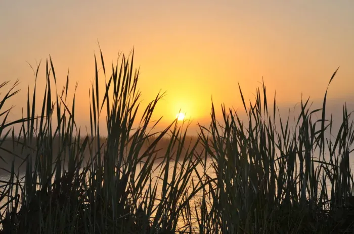 Framed Print : Misty morning sunrise Framed Print : Misty morning sunrise