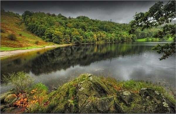 Misty reflections, Esthwaite water, Lakes district, Cumbria, England, United Kingdom