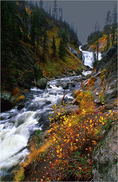 Misty river and Autumn colours, flowing near Yellowstone Lake, Wyoming