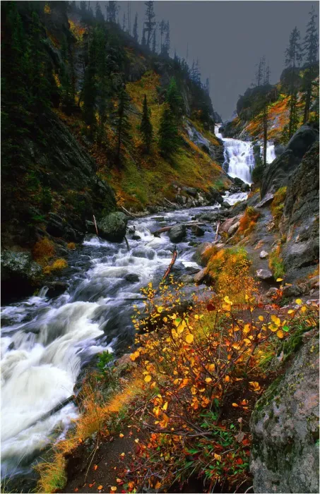Framed Print : Misty river and Autumn colours, flowing near Yellowstone Lake, Wyoming