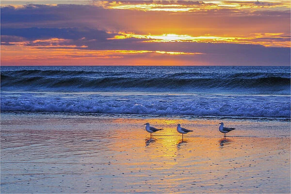 Moana beach Fleurieu Peninsula South Australia