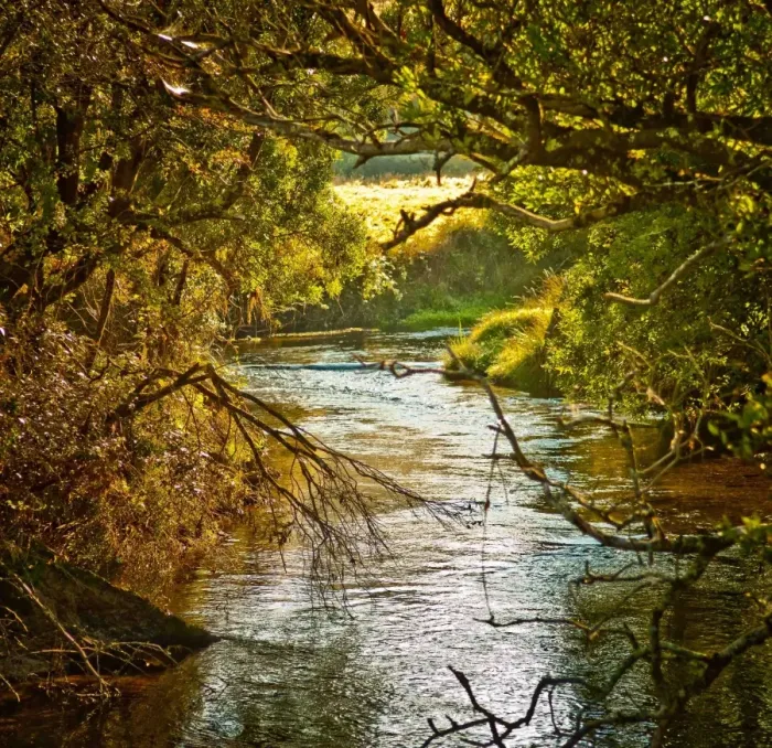 Framed Print : Mole Creek Framed Print : Mole Creek