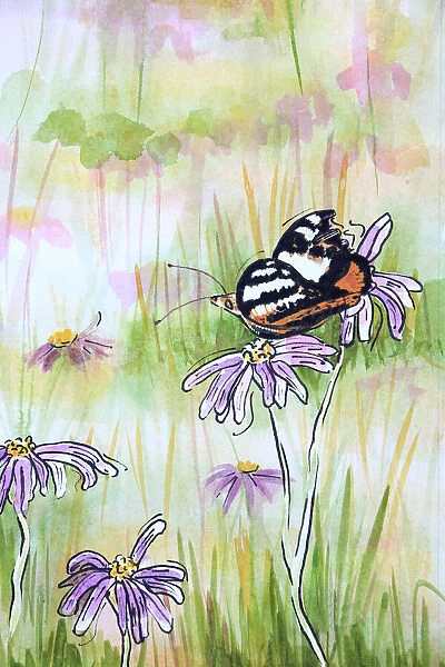 Monarch Butterfly Resting on an Aster Asteraceae Flower Mixed Media Painting