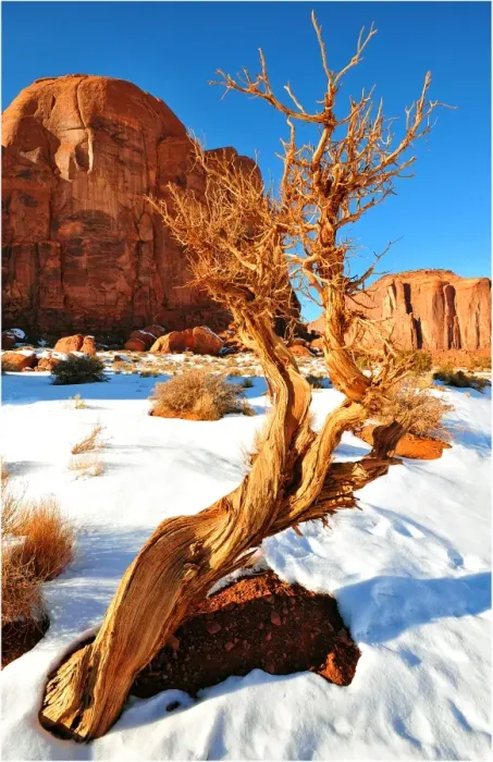 Framed Print : Monument valley in winter, Arizona, Western united States of America