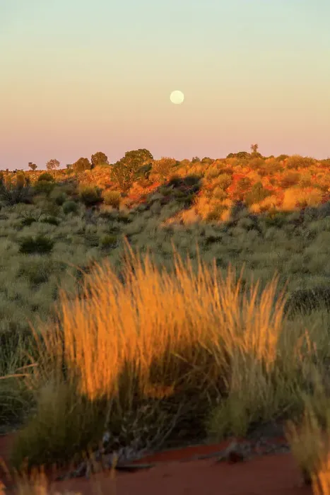 Framed Print : Full moon over arid landscape of central Australia. Northern Territory. Australia Framed Print : Full moon over arid landscape of central Australia. Northern Territory. Australia